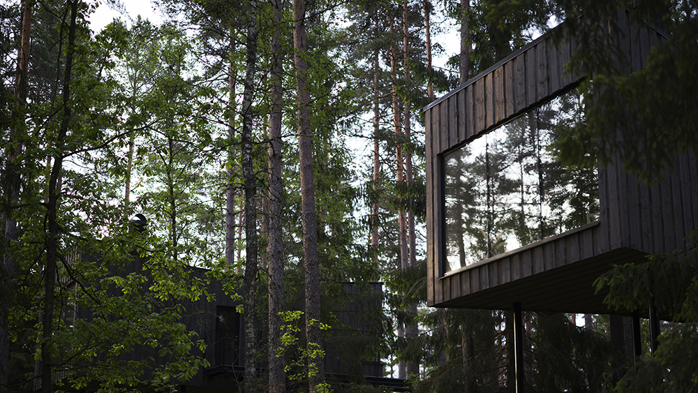 Trakt Forest Hotel