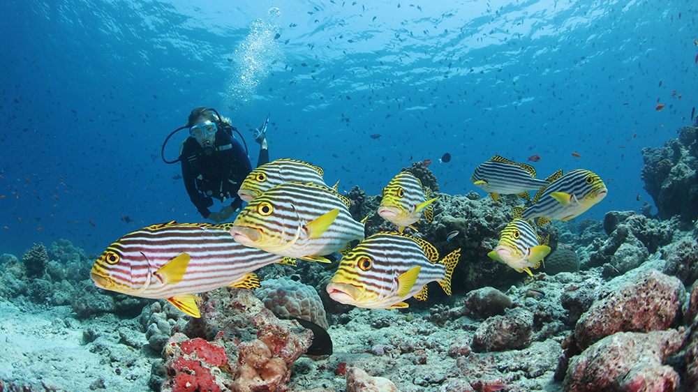 Conrad Maldives Rangali Island