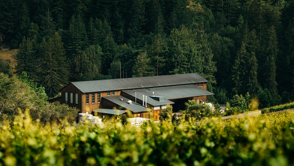 Joseph Phelps's Sonoma Coast winery